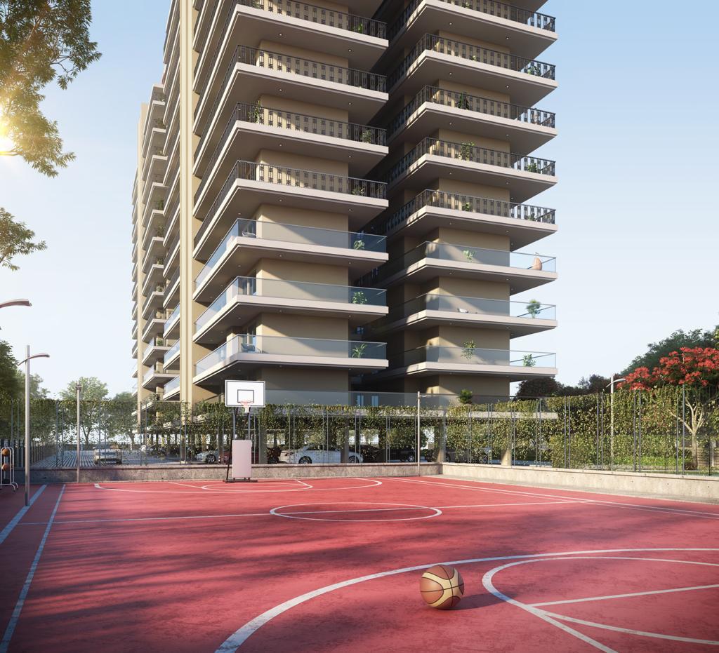 Basketball Court